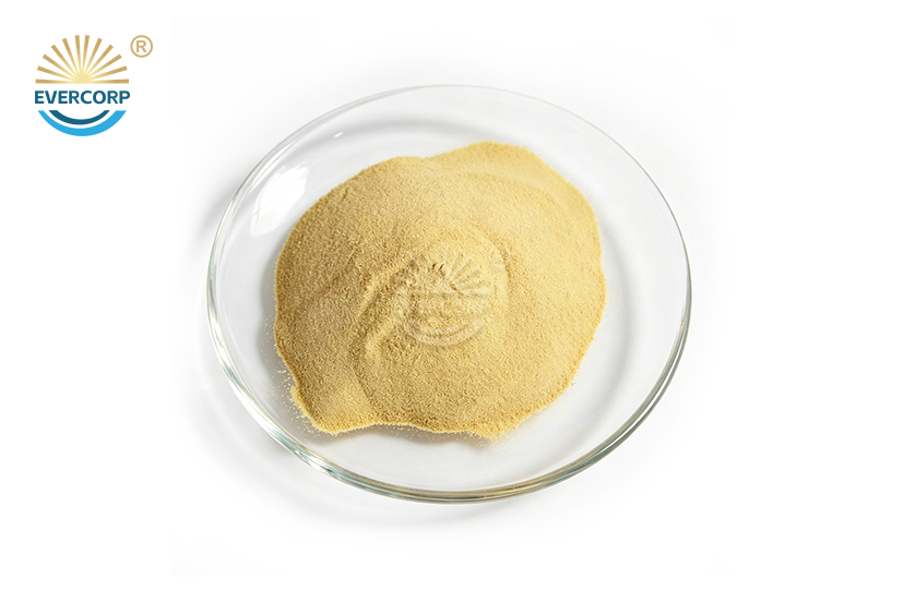 Sodium Naphthalene Sulfonate